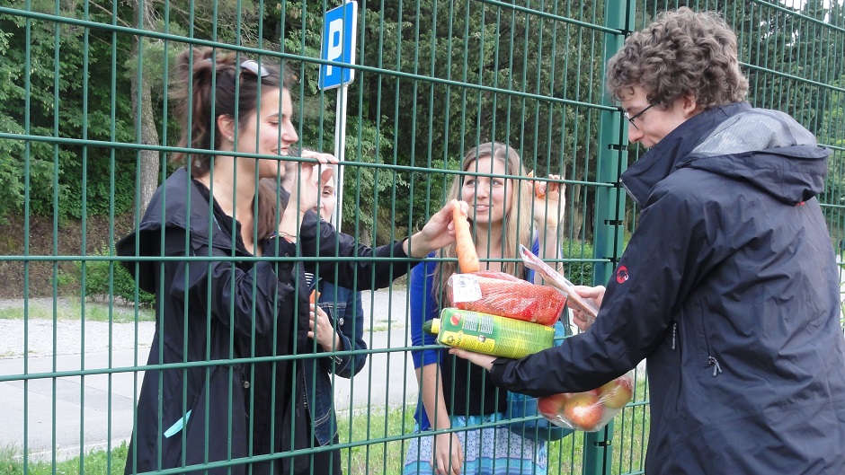 Feeding the wild animals
